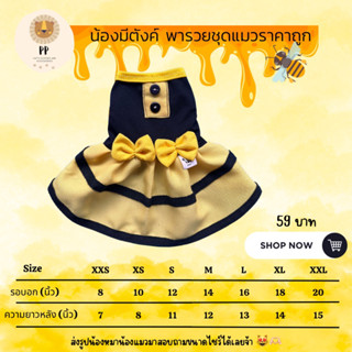 ชุดผึ้งน้อย 🐝 สำหรับสัตว์เลี้ยง 💛🖤