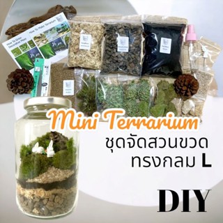 ชุดจัดสวนขวด สวนขวด Terrarium ขวดแก้วทรงกลม ไซค์ L