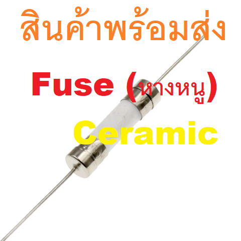 Ceramic Fuse ฟิวส์หางหนู PCB  2 ขา บัดกรี หางหนู เซรามิก 5x20mm 250V 1A 3.15A 6.3A 10A 15A