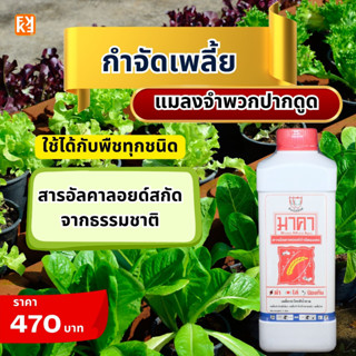 กำจัดเพลี้ย เพลี้ยอ่อน เพลี้ยแป้ง เพลี้ยไฟ เพลี้ยจักจั่น เพลี้ยต่างๆ ฯลฯ มาคา สารอัลคาลอยด์สกัดจากธรรมชาติ โดย FK