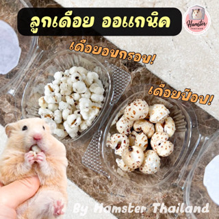 [Hamsterth] ลูกเดือย ออร์แกนิค พร้อมส่ง!! ไร้น้ำมัน!! ลูกดอยอบกรอบ เดือยป๊อป ขนมแฮมสเตอร์ ขนมสัตว์เลี้ยง