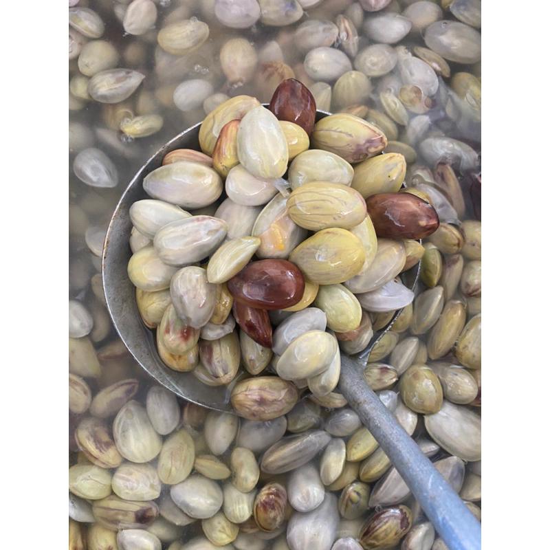 สะตอดอง ชั่งแต่เนื้อ ไม่รวมน้ำดองเปรี้ยว