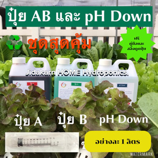 ปุ๋ย AB คู่กับ pH down กรดไนตริก 6.8% พร้อมส่ง ( 2 ชุดต่อ 1 คำสั่งซื้อ) น้ำนิ่ง น้ำวน ผักสลัด ผักไทย ทุกฤดู อย่างล