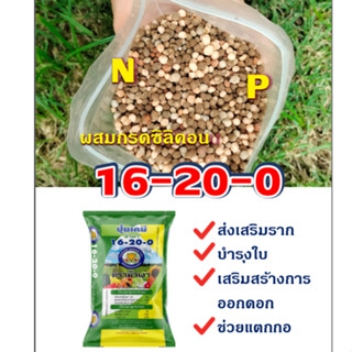 ปุ๋ย16-20-0 ตราม้าเงา แบ่งขาย1กิโล เกรดพรีเมียม พผสมกรดซิลิคอน