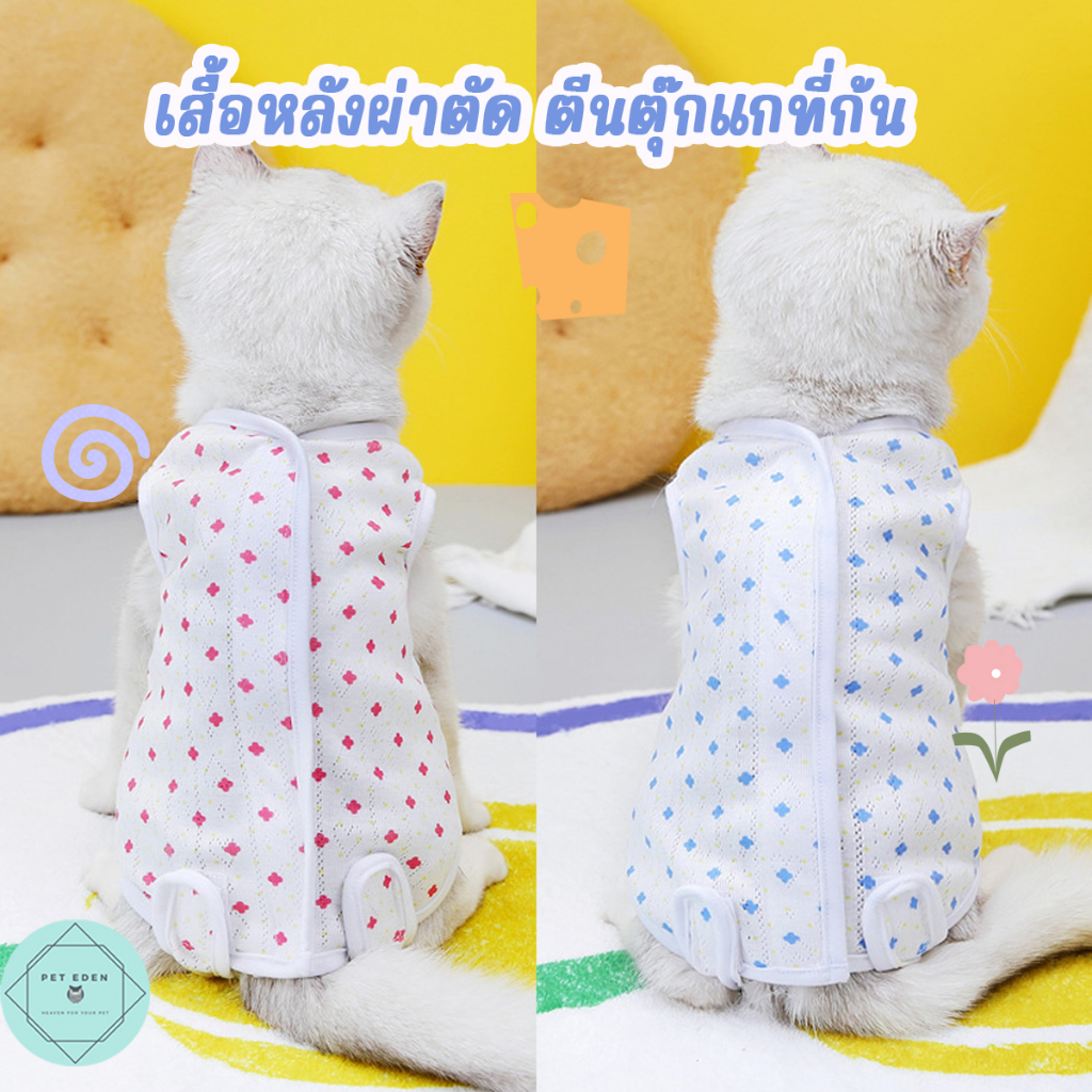 Restock เสื้อหลังผ่าตัด เสื้อหลังผ่าตัดแมว ตีนตุ๊กแกที่ก้น หมา ทำหมัน กันเลียแผล Recovery Suit สุนัข ลูกหมา