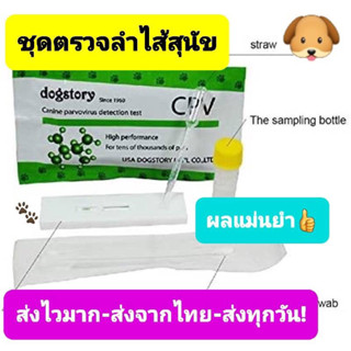 ชุดตรวจลําไส้อักเสบสุนัขcpv testส่งจากไทยส่งไวมาก