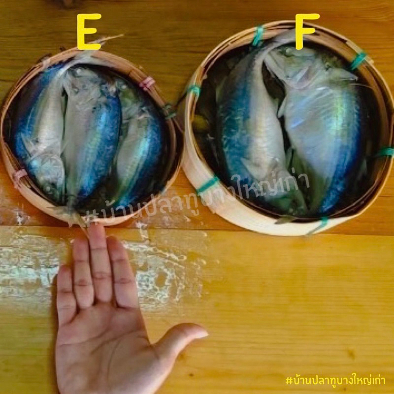 ปลาทูนึ่งซีลสูญญากาศเกรดAAA "SIZE E" ทำสดใหม่ทุกวัน ตำนาน80ปีบ้านปลาทูบางใหญ่เก่า