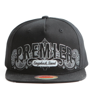 PREMI3R New หมวก Cap paisley