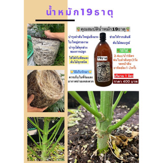 🍁ส่งฟรี🍁นำหนักชีวภาพ 19 ธาตุ  ชีวีสมดุล บำรุงต้นเร่งราก