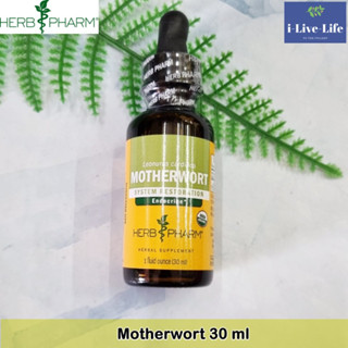 Herb Pharm - Leonurus cardiac Motherwort 30 ml อาหารเสริมสมุนไพร มาเธอร์เวิร์ต ชนิดน้ำ