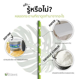 หลอดกระดาษลายริ้ว เเบรนด์ Paper Straws ขนาด 6mm×160mm Food Grade มาตรฐานจาก FSC บรรจุ100 หลอด ผู้ผลิตเจ้าเเรกในประเทศไทย