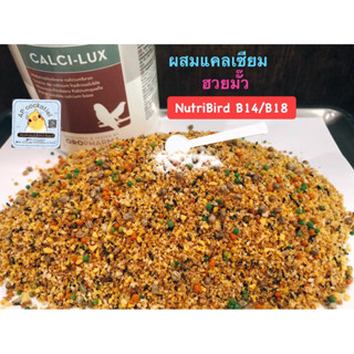 โปรตีนไข่Expert ผสมอาหารเม็ดNutriBirdและCalci-Lux (โปรตีนไข่+Calci-Lux/B14/B18)ขนาดถุง350g