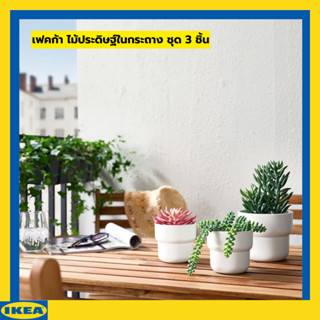 IKEA FEJKA เฟคก้า ไม้ประดิษฐ์ในกระถาง ชุด 3 ชิ้น ใน/นอกอาคาร ต้น Succulent