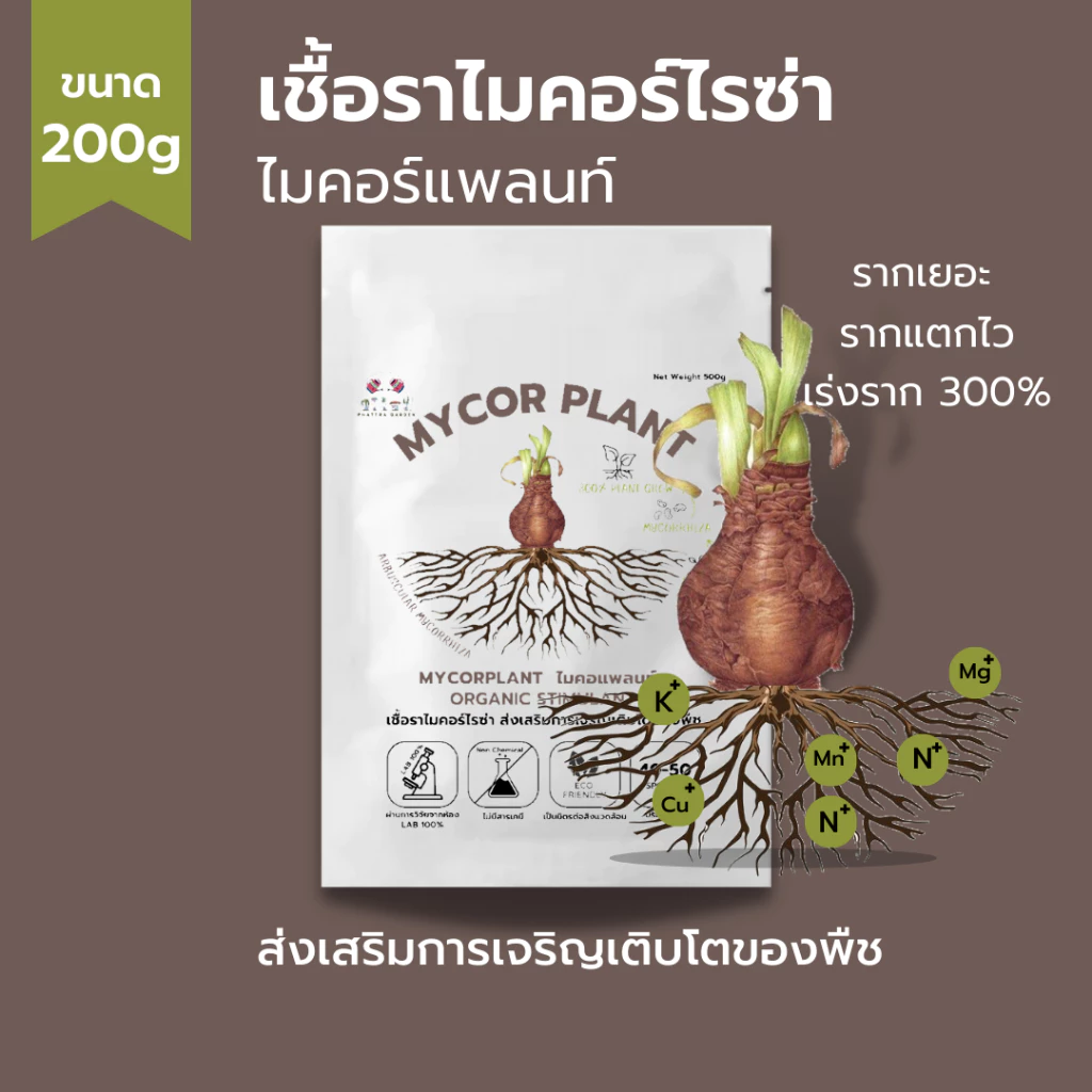 ไมคอร์ไรซ่า (200กรัม) เร่งราก รากเยอะ พืชโตเร็ว ความเข้มข้นเชื้อสูง เพาะเชื้อจากห้องLAB 100%