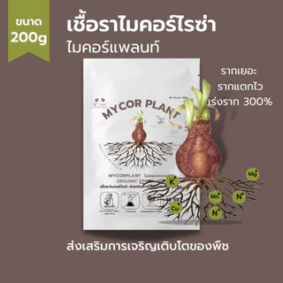 ไมคอร์ไรซ่า (200กรัม) เร่งราก รากเยอะ พืชโตเร็ว ความเข้มข้นเชื้อสูง เพาะเชื้อจากห้องLAB 100%