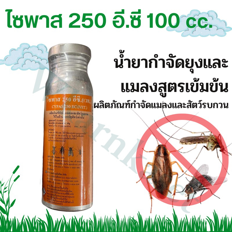 ไซพาส 250 อีซี แบบขวด ขนาดบรรจุ 100 มล. กำจัดแมลง ยุง แมลงคลาน