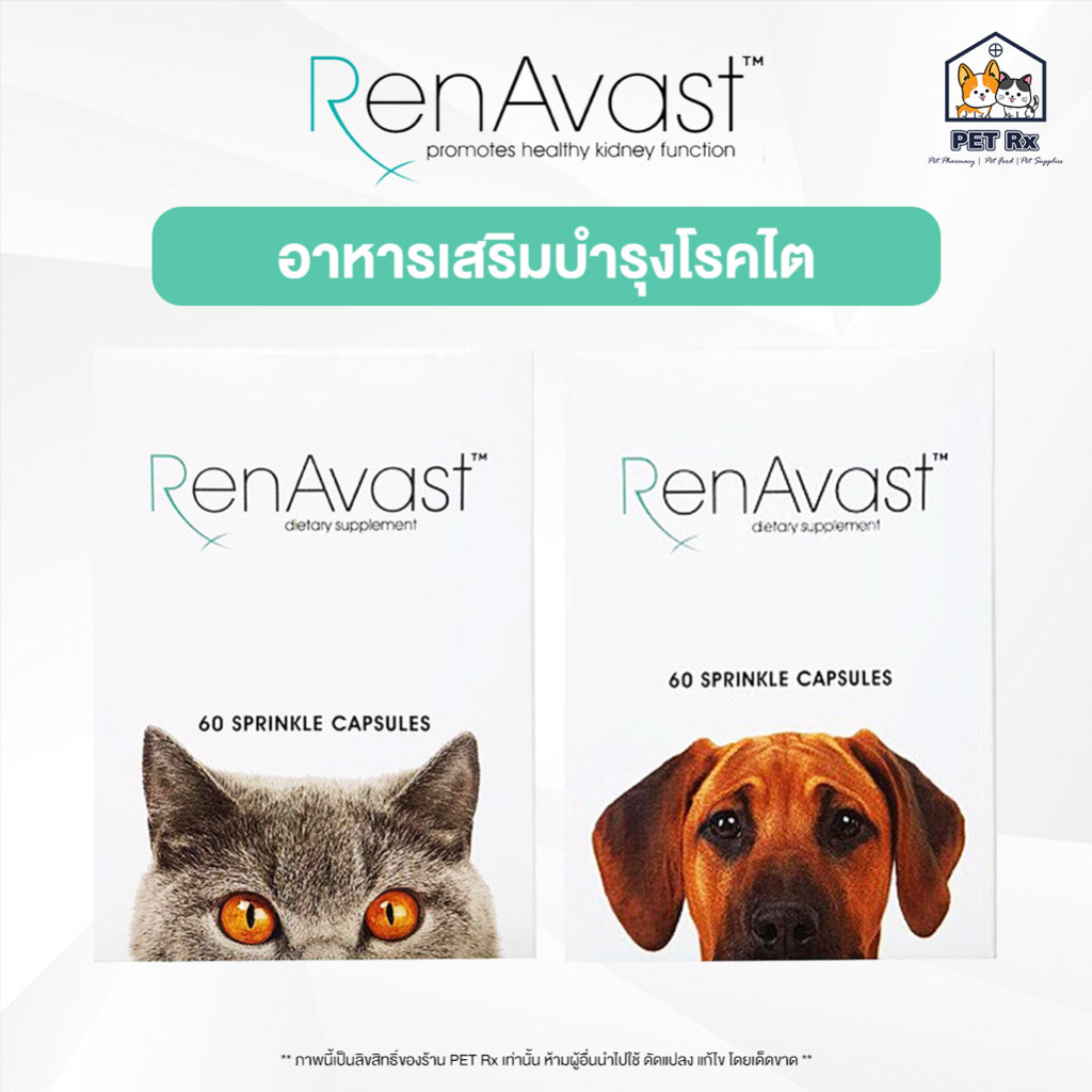 [ยกกล่อง!] RenAvast [แท้ ] (เรนอะวาสท์) อาหารเสริมบำรุงโรคไต สำหรับสุนัขและแมว