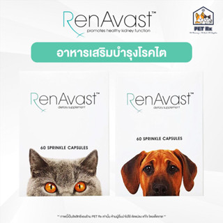 RenAvast [แท้💯] เรนอะวาสท์ อาหารเสริมบำรุงโรคไต สำหรับสุนัขและแมว