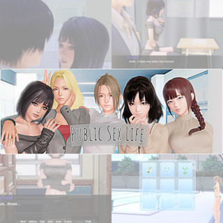 แผ่นเกมคอม PC - PUBLIC LIFE  [DVD + USB + Download] เล่นได้เลยไม่ต้องติดตั้ง