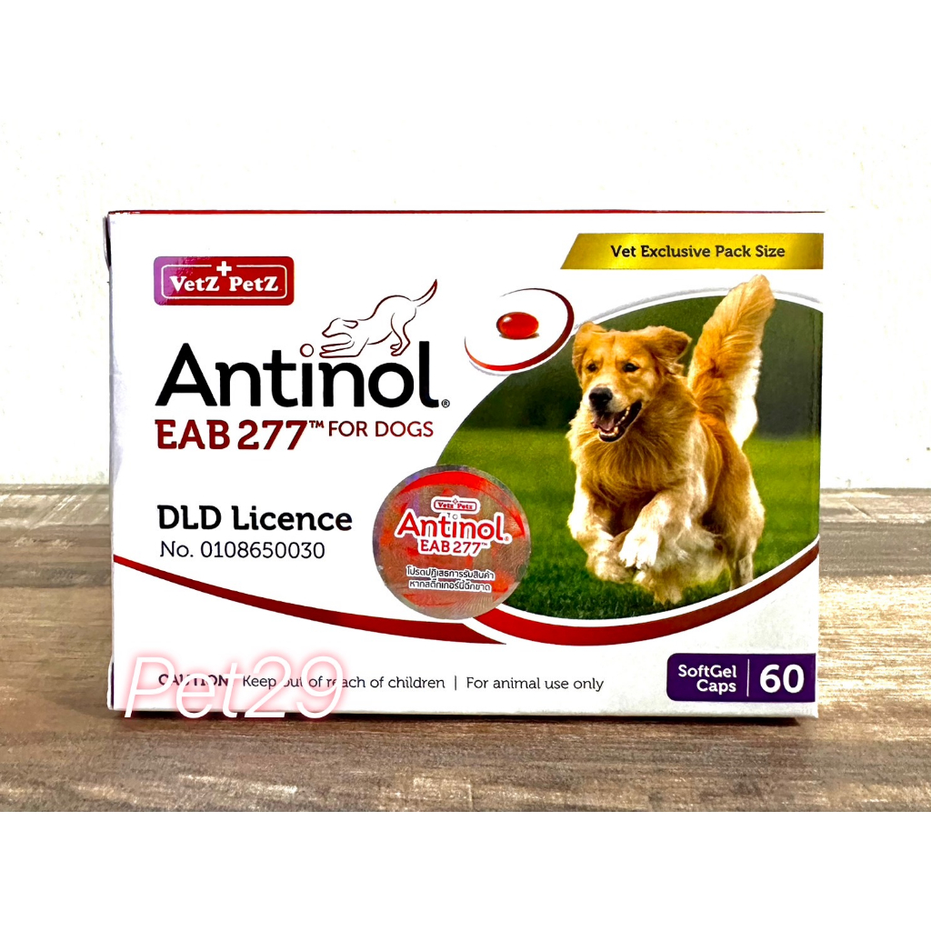 Antinol แบรนด์แท้ 100% มีฉลากยา กล่องต้นแบบ (Exp.03/2025) อาหารเสริมสารสกัดPCSO-524บำรุงข้อสัตว์เลี้ยง