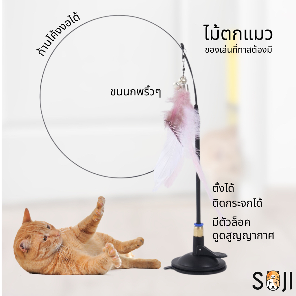 AL-801 ไม้ตกแมวขนนกติดพื้น ของเล่นแมว มีกระดิ่ง ก้านยาว แบบปุ่มดูดสุญญากาศ ถอดออกได้ ราคาถูก พร้อมส่ง🐱🐱
