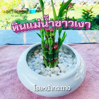 หินขาวเงา 250 กรัม หินแม่น้ำ หินตกแต่งสวนถาด หิน