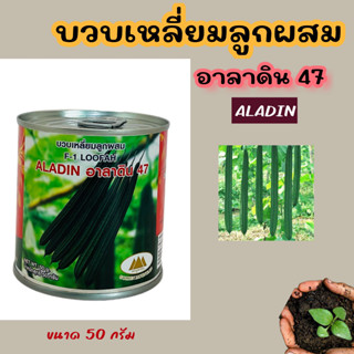 บวบเหลี่ยมลูกผสม ALADIN อะลาดิน 47 Loofah ขนาด 50 กรัม