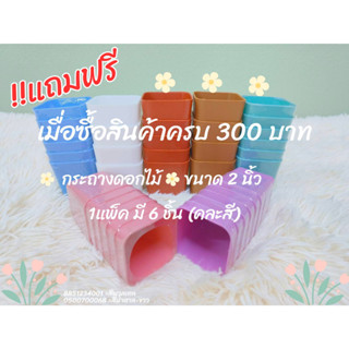 สินค้าแถมฟรี เมื่อซื้อครบ 300 บาท