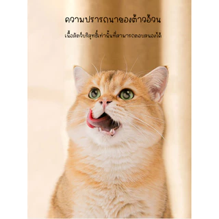 อกไก่ฟรีซดราย ไก่ฟรีซดราย ขนมฟรีซดราย รับประกันความกรอบ ขนมแมว ขนมหมา เนื้อสัตว์ฟรีซดราย Freeze Dried for Cat & Dog
