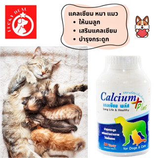 Calcium Plus  บำรุงกระดูก แคลเซียม สุนัข แมว หมา ให้นมลูก นมแพะ แม่แมว แม่หมา