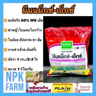 มีนแม็กซ์ เอ็กซ์ ขนาด 1 กิโลกรัม อะมีทรีน 80%wg เม็ด อามีทรีน เจียไต๋ กำจัดหญ้า ใบแคบ ใบกว้าง ใน อ้อย ส้ม ชา กาแฟ npk