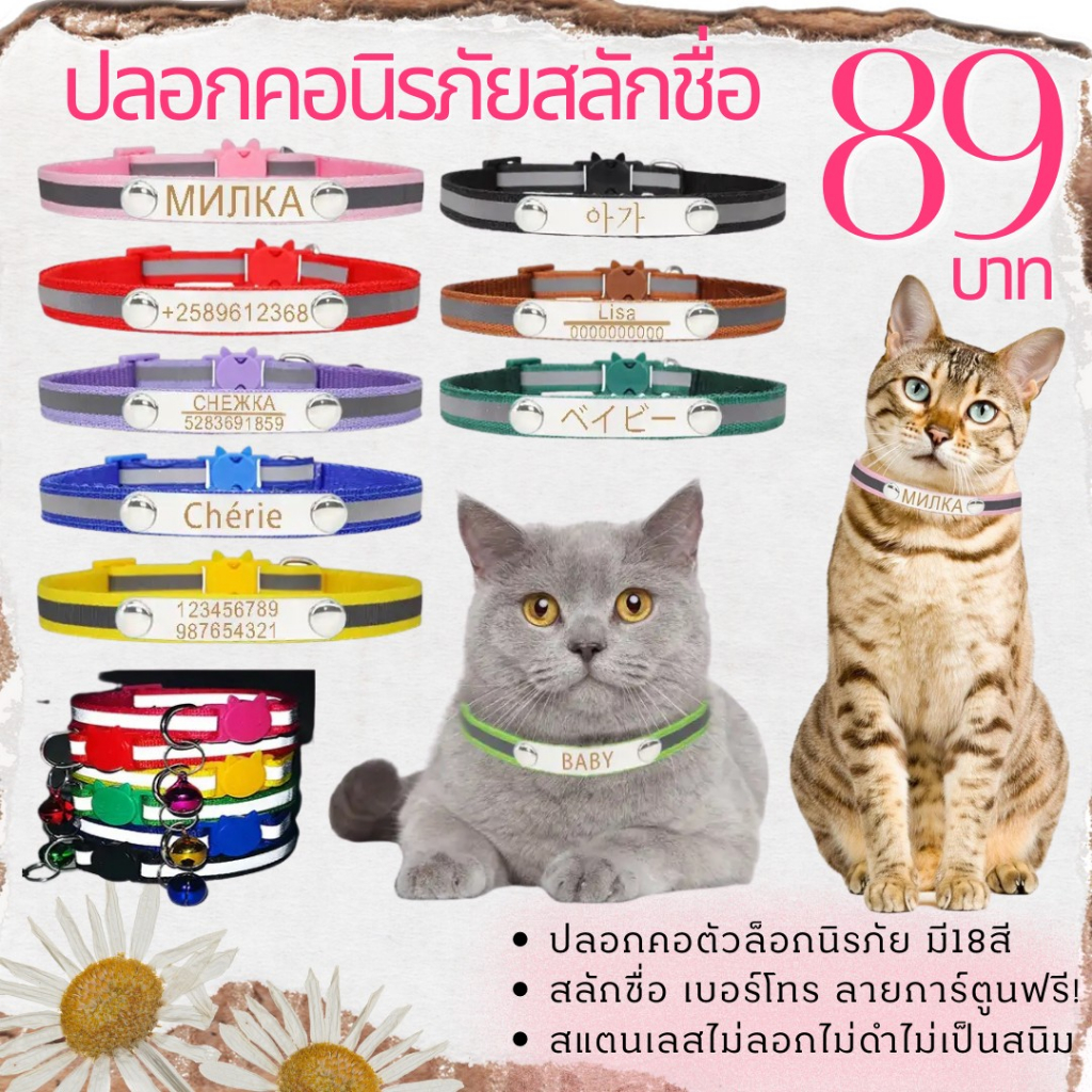 ปลอกคอแมว สลักชื่อฟรี ปลอกคอนิรภัยสะท้อนแสง