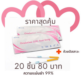 ชุดตรวจไข่ตก แบบจุ่ม,ไข่ตก,LH test,ตกไข่,ovulation test ถูกที่สุด