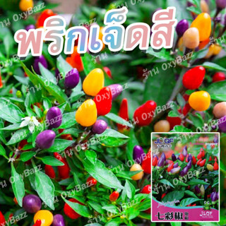 [ซองใหญ่ 150 เมล็ด] เมล็ดพริกเจ็ดสี พริกสีรุ้ง เมล็ดพันธุ์พริก7สี พริกประดับ