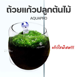 (พร้อมส่ง) ถ้วยแก้วปลูกไม้น้ำ Aquapro water grass cup ถ้วยแก้วเลี้ยงไม้น้ำ ถ้วยปลูกไม้น้ำ