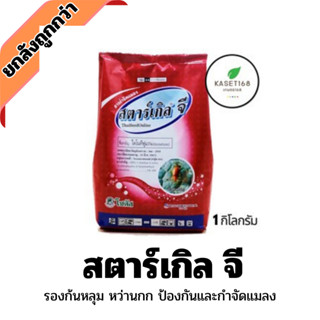 สตาร์เกิล จี (Starkle G) 1 กิโลกรัม รองก้นหลุม สตาร์เกิลจี