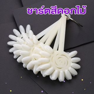 ชาร์ตโชว์สีเจล แบบดอกไม้ (B41)