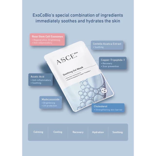 ASCE Plus Soothing Gel Exosome Mask มาสก์เอ็กโซโซม