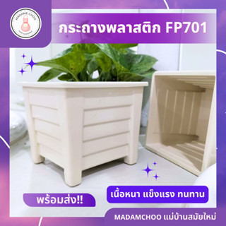 กระถางFP701 ยกโหล 12 ชิ้น กระถางขาสิงค์เล็ก สีสันสดใส#กระถางต้นไม้#กระถางขาสิงค์#กระถาง น้อยน่ารัก