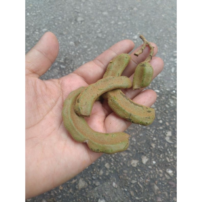 ัฝักมะขามอ่อน500g.(ครึ่งโลเหมาะตำน้ำพริก)