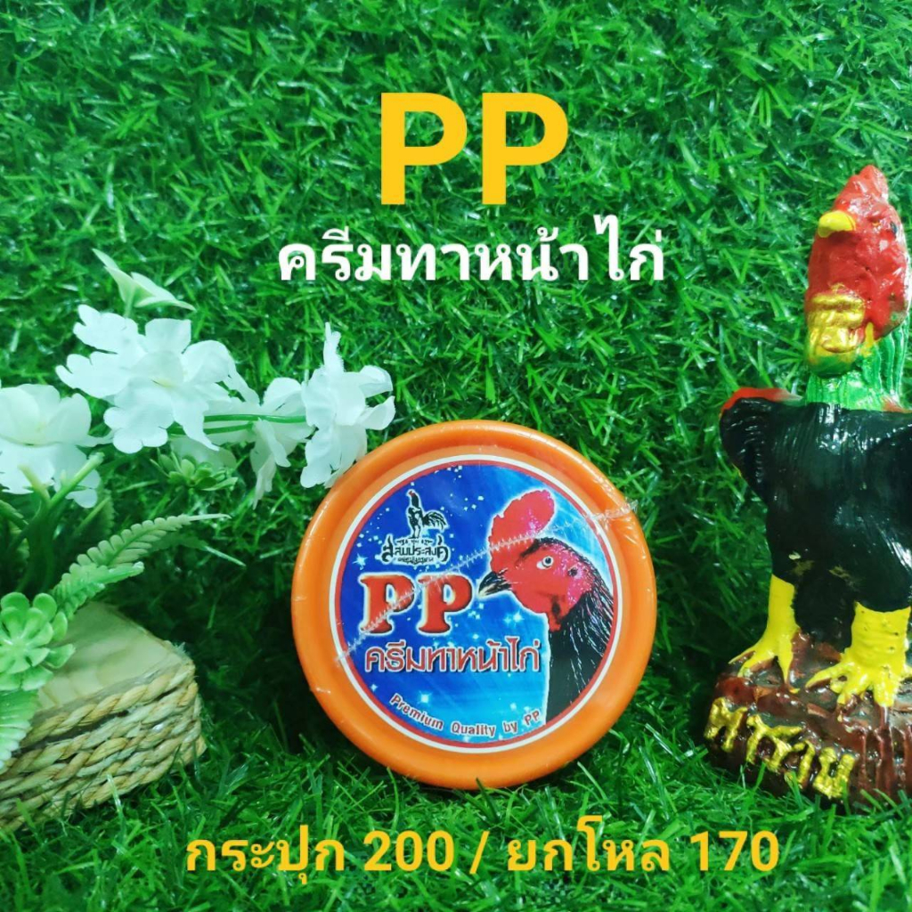 พีพีทาหน้าไก่ ppครีม