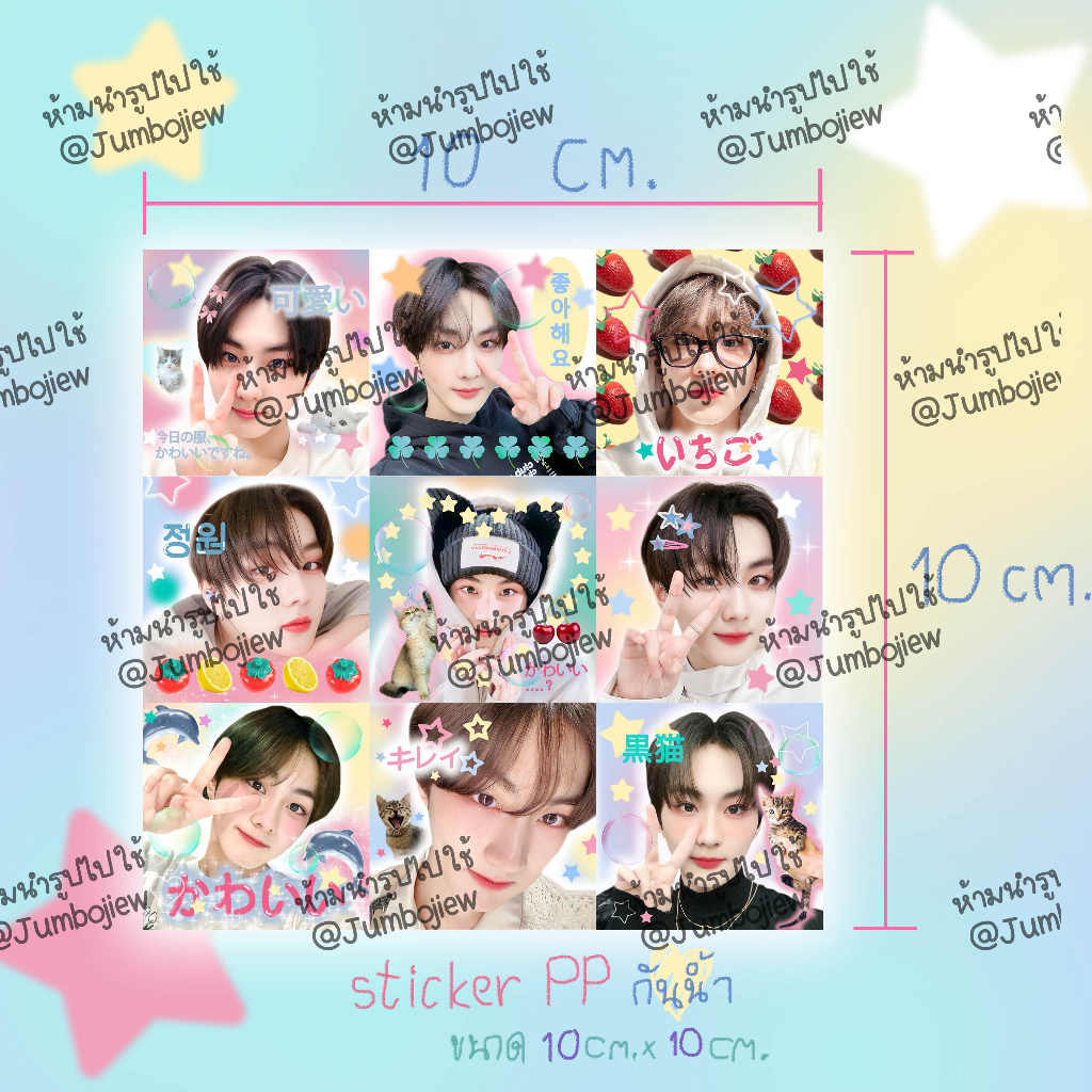 Enhypen Jungwon สติ๊กเกอร์ไดคัทPPกันน้ำ ขนาด10x10cm