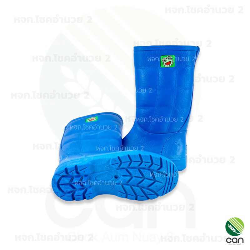 รูปภาพ 4