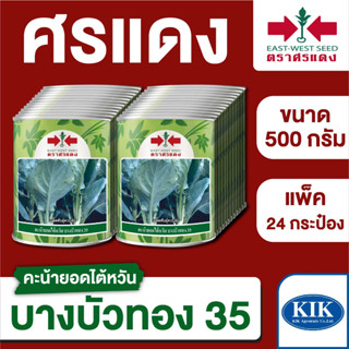 ขายส่ง เมล็ดพันธุ์ ศรแดง BIG คะน้า บางบัวทอง35 ขนาด 500 กรัม (500 กรัม X 24 กระป๋อง)