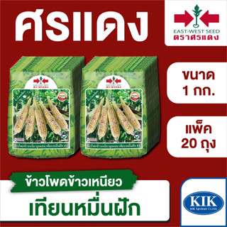 ขายส่ง เมล็ดพันธุ์ ศรแดง BIG ข้าวโพดข้าวเหนียว เทียนหมื่นฝัก ขนาด 1 กิโลกรัม (1 กก. X 20 ถุง)