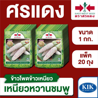 ขายส่ง เมล็ดพันธุ์ ศรแดง BIG ข้าวโพดข้าวเหนียว เหนียวหวานชมพู  ขนาด 1 กิโลกรัม (1 กก. X 20 ถุง)