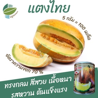 เมล็ดพันธุ์ แตงไทย ซาอุ (Muskmelon)