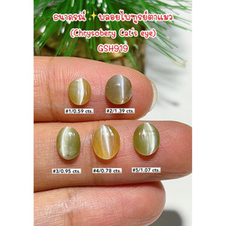 พลอยไพฑูรย์ตาแมว (Chrysobery Cat’s eye)ธนาภรณ์(GSH919)