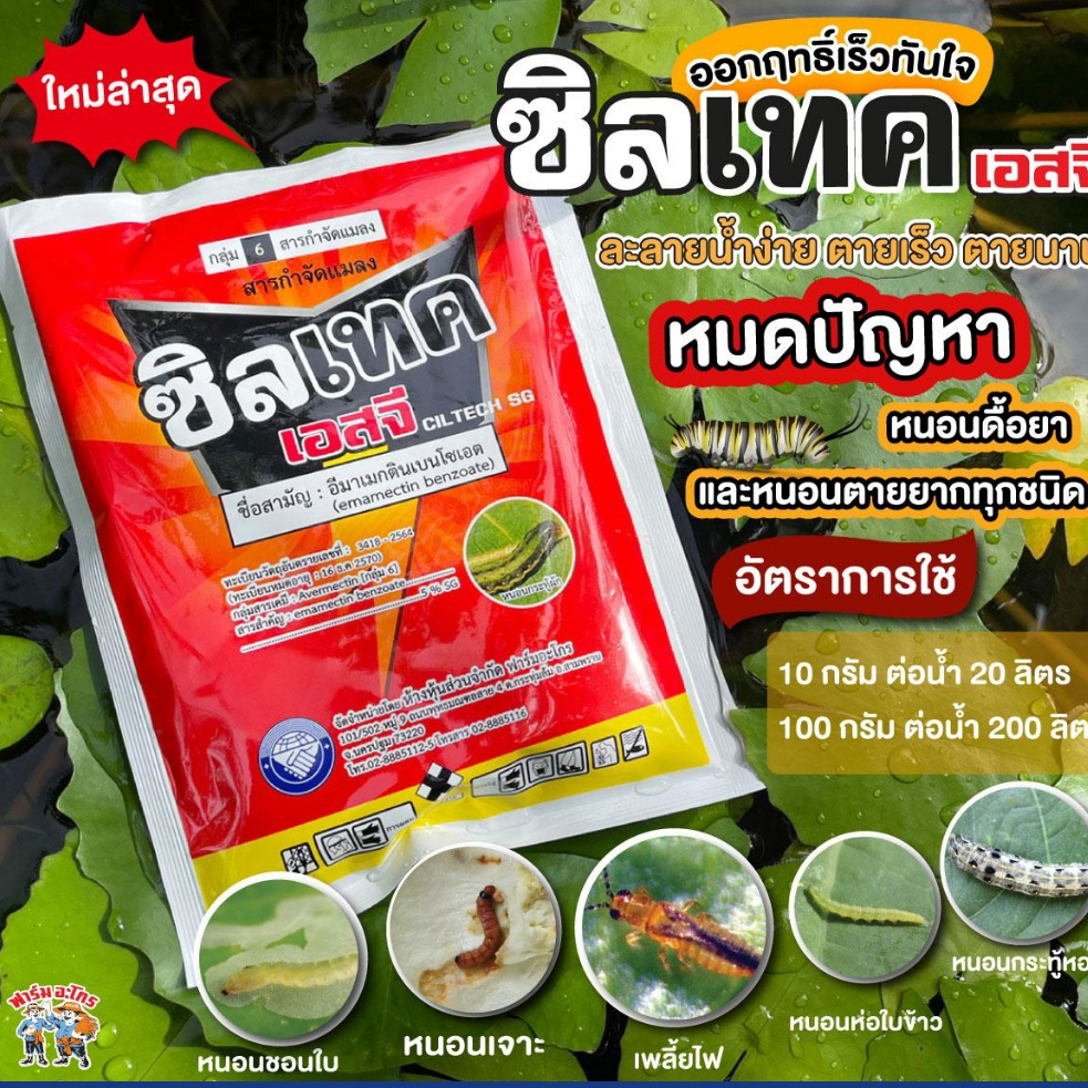 ซิลเทคเอสจี สารป้องกันและกำจัดแมลง เพลี้ยไฟ หนอนชอนใบ หนอนเจาะ สูตรเย็น ใช้ได้กับพืชทุกชนิด