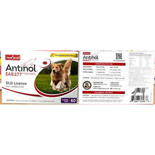 (แพ็คเกจใหม่) ของแท้ 100% Antinol EAB277 (dog) อาหารเสริม บำรุงข้อ ลดอักเสบข้อ (1 กล่อง : 60 แคปซูล) exp: 12/24